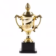 Кубок HAOYUNQI Gold Cup
