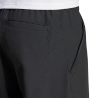 Брюки Adidas TERREX MULTI LITEFLEX thumbnav 9