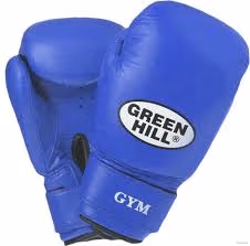 Manusi pentru box Green Hill GYM 