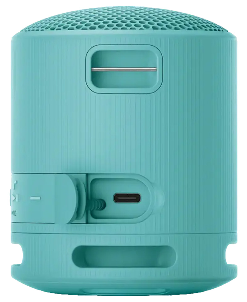 Портативная колонка Sony SRS XB100L Синий photo 2