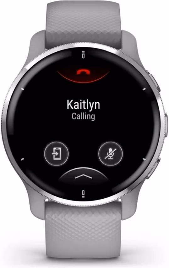 Smart watch Garmin Venu 2 Plus Silver 
