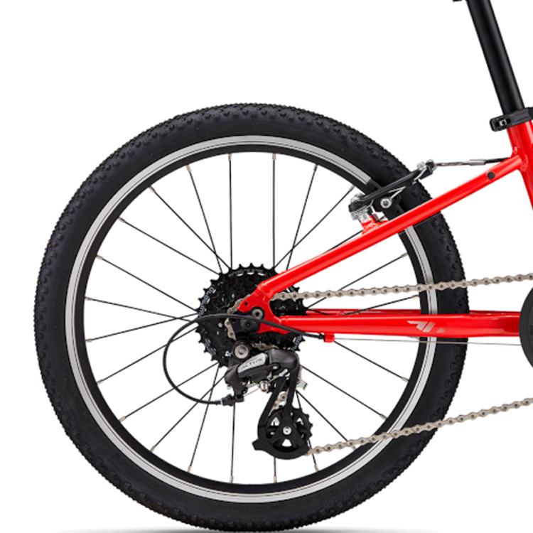 Велосипед детский Giant ARX 20 / Красный 25 / 1x8 photo 3