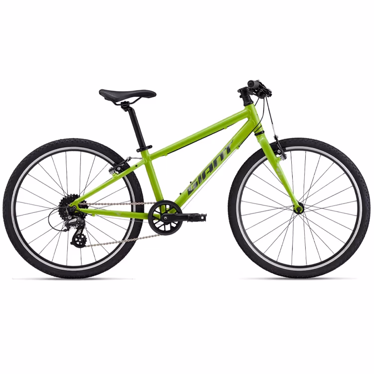 Велосипед детский Giant ARX 24 