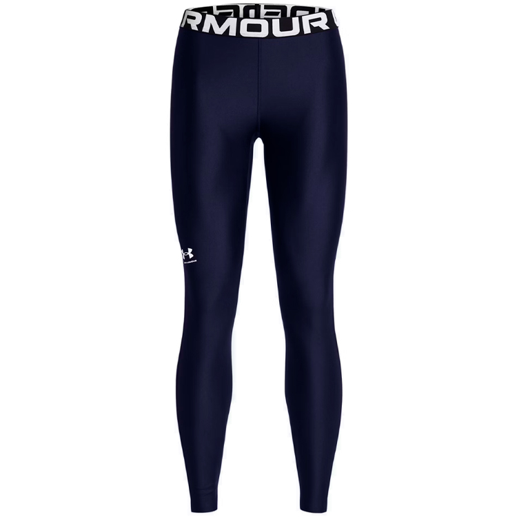 Легинсы Under Armour UA HG Authentics Legging photo 