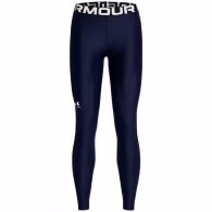Легинсы Under Armour UA HG Authentics Legging