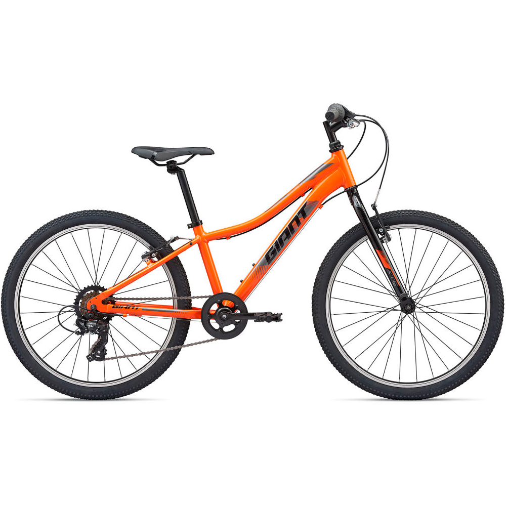 Велосипед детский Giant XtC Jr Lite photo Велосипед детский Giant XtC Jr Lite photo