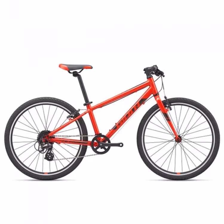 Велосипед детский Giant ARX 