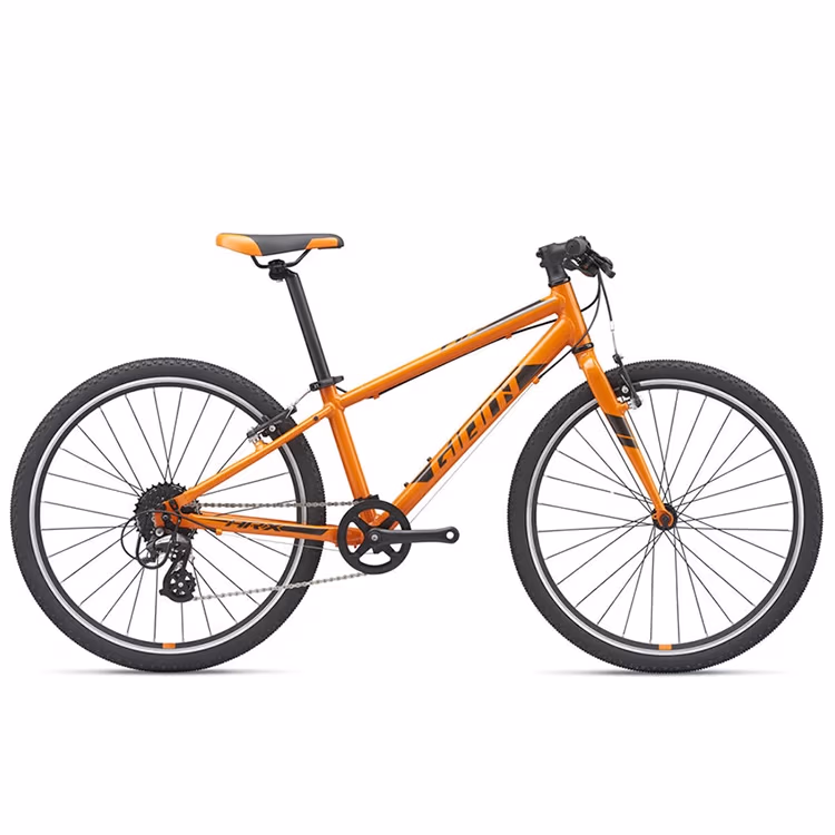 Велосипед детский Giant ARX 