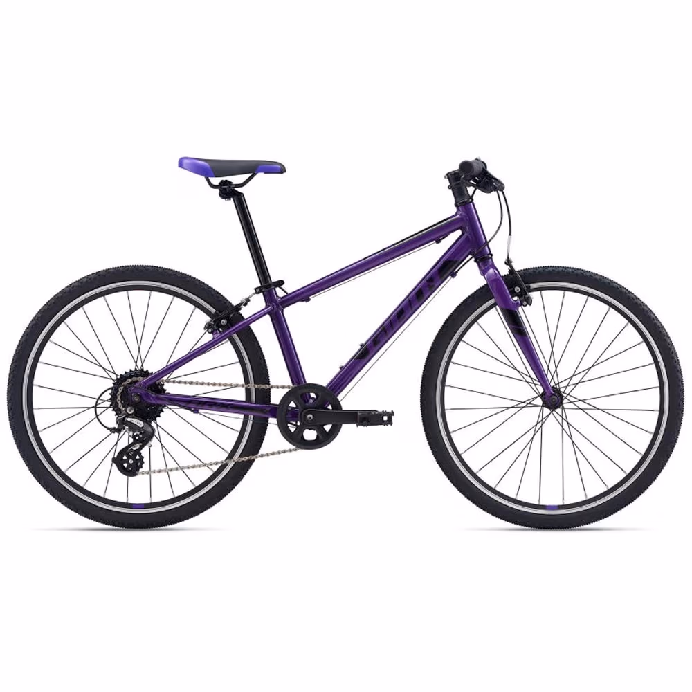 Bicicleta pentru copii Giant ARX