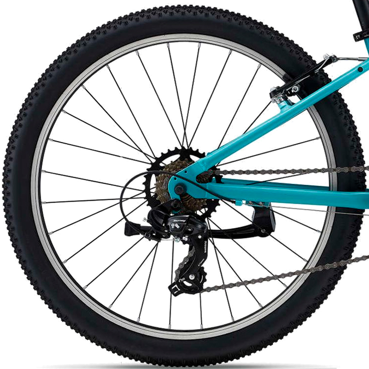 Bicicleta pentru copii Liv Enchant 24 / Albastru / 2x7 photo 4