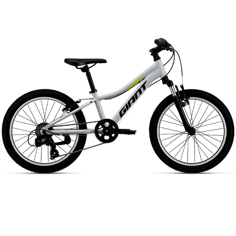 Bicicleta pentru copii GIANT XtC Jr 20 photo 