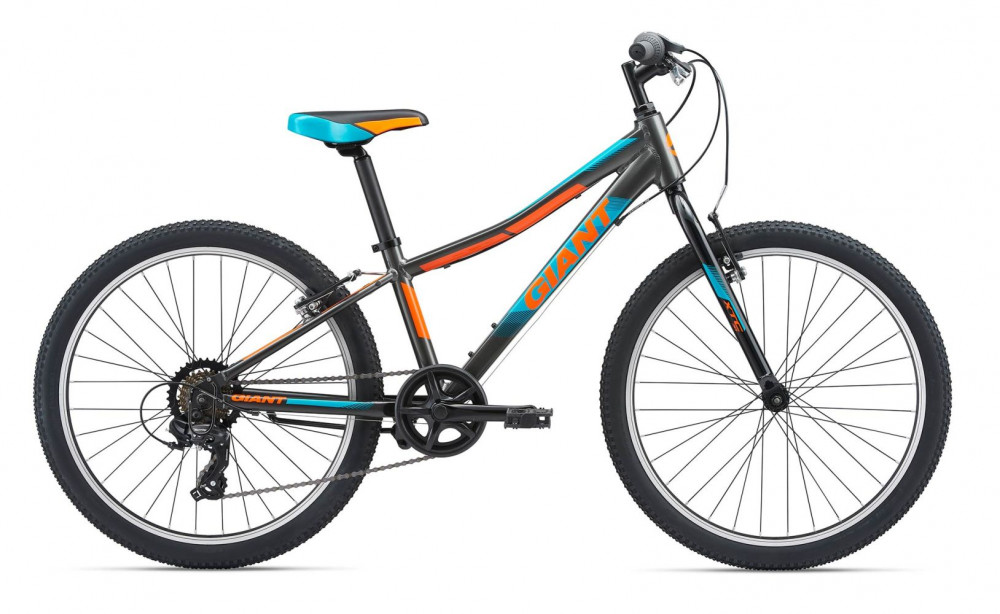 Велосипед детский Giant XtC Jr Lite photo Велосипед детский Giant XtC Jr Lite photo