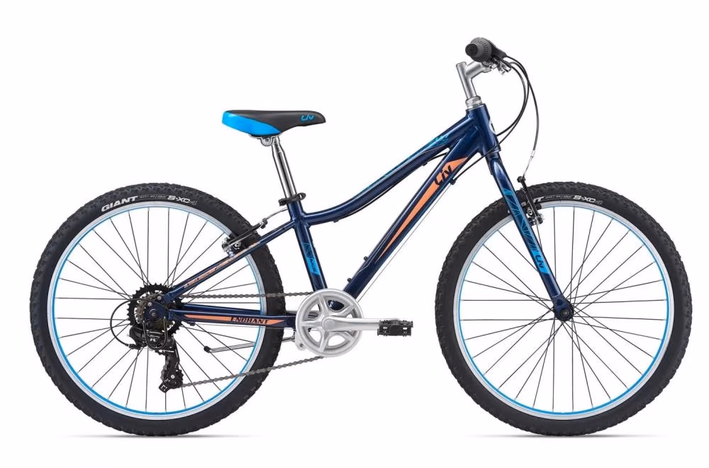 Велосипед детский Giant Enchant Lite 