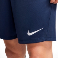 Шорты Nike M NK DRY PARK III SHORT NB K thumbnav 5