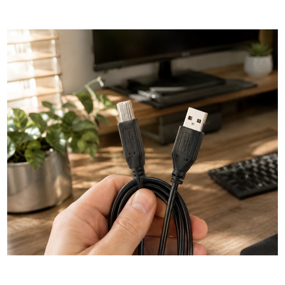 Cablu USB-A - USB-B Gembird CCPUSB2AMBM10 photo 6