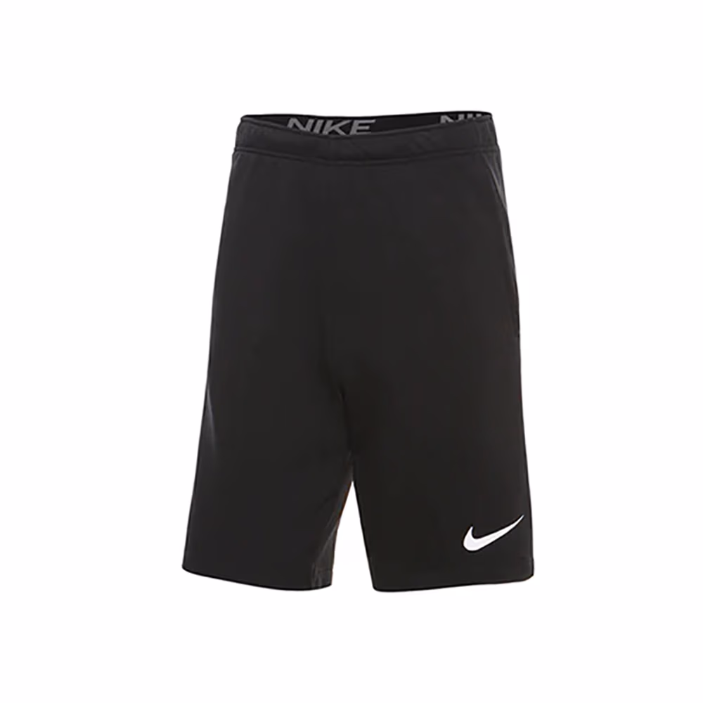Шорты Nike M NK DF SHRT FL