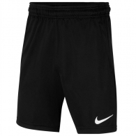 Шорты Nike Y NK DF PARK20 SHORT KZ thumbnav