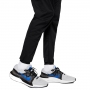 Брюки Nike M NK SFADV RDVN SWIFT PNCL PNT thumbnav 3