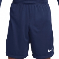 Шорты Nike M NK DF LGE KNIT III SHORT K thumbnav