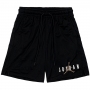 Шорты Nike M J ESS MESH GFX SHORT thumbnav 1