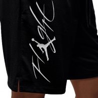 Шорты Nike M J ESS SSNL SHORT thumbnav 4