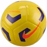 Minge fotbal Nike NK PTCH TRAIN