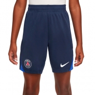 Шорты Nike PSG Y NK DF STRK SHORT KZ thumbnav