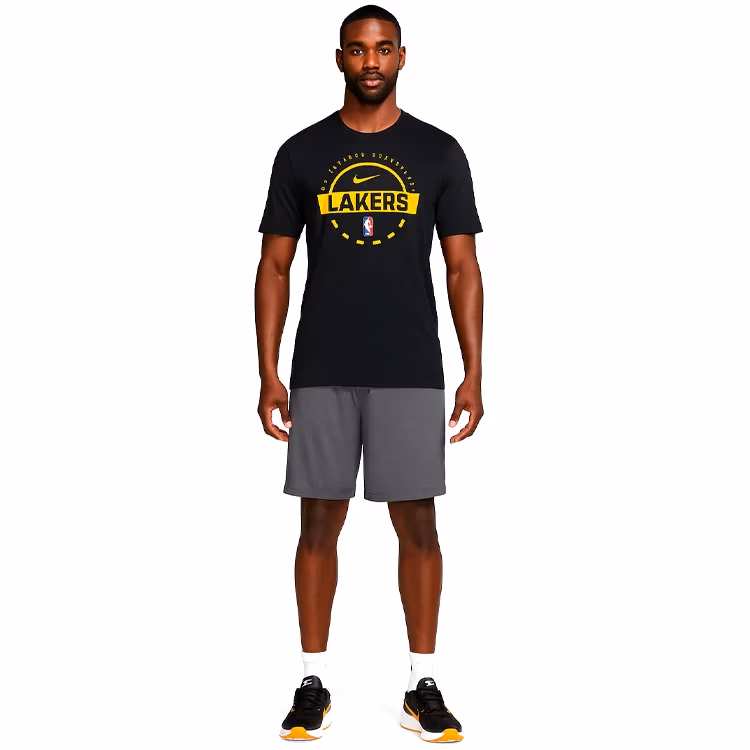 Футболка Nike LAL M NK PRTC SS TEE