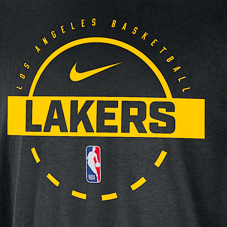 Футболка мужская Nike LAL M NK PRTC SS TEE L Черный photo 2