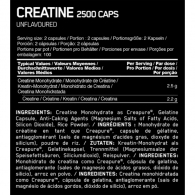 Creatin Optimum Nutrition ON CREATINE 2500 300CT CAPS thumbnav 3