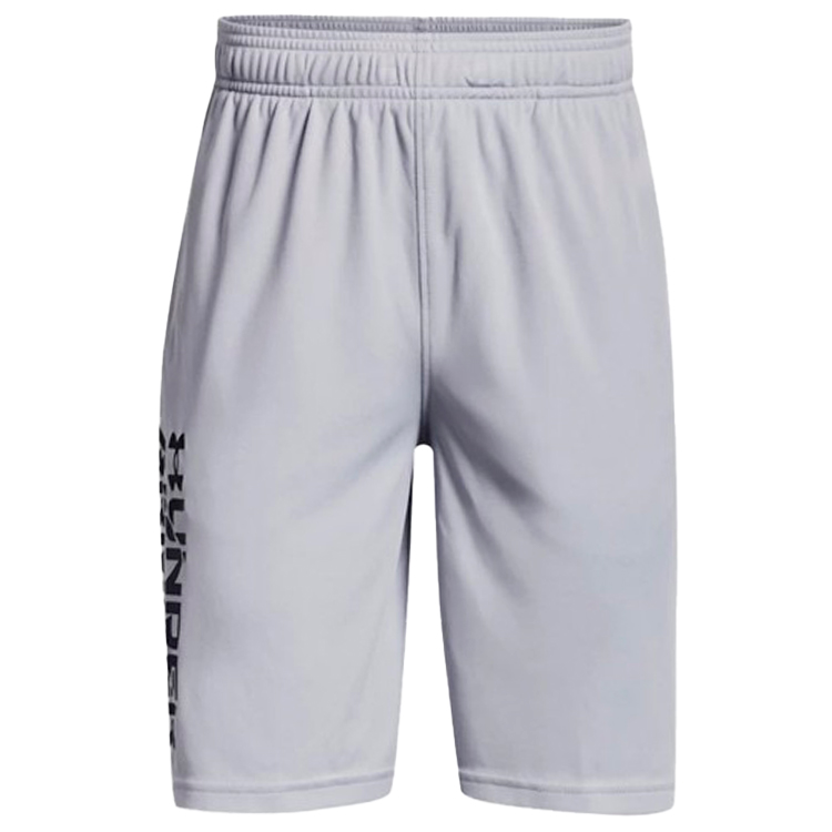 Шорты Under Armour UA Prototype 2.0 Wdmk Shorts photo 