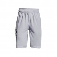 Шорты Under Armour UA Prototype 2.0 Wdmk Shorts thumbnav