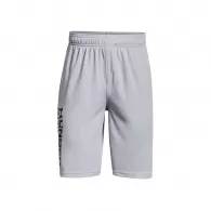 Шорты Under Armour UA Prototype 2.0 Wdmk Shorts