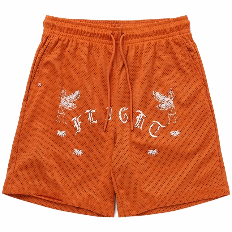 Шорты Nike M J FLT ARTST SRS MESH SHORT