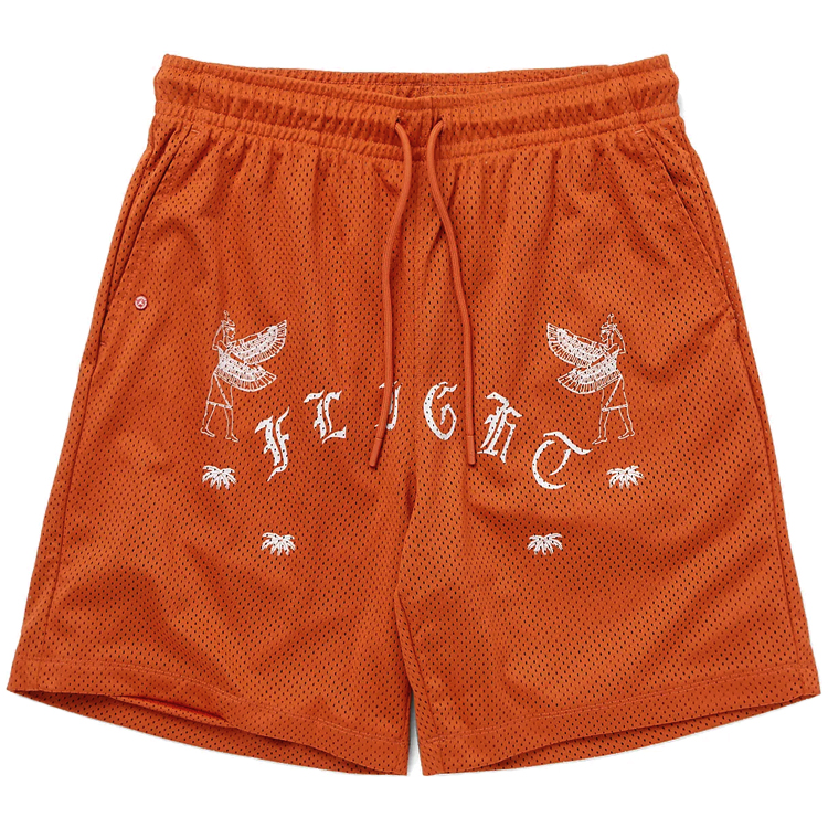 Sorti de bărbați Nike M J FLT ARTST SRS MESH SHORT M Oranj photo 2