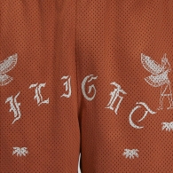 Sorti Nike M J FLT ARTST SRS MESH SHORT thumbnav 4