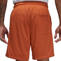 Sorti Nike M J FLT ARTST SRS MESH SHORT thumbnav 7