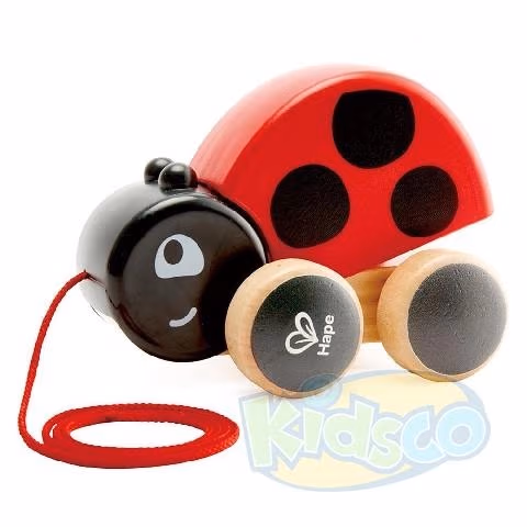 Hape E0362A Ladybag Pull Along
