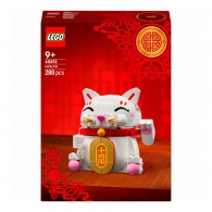 Конструктор Lego 40813 thumbnav 1