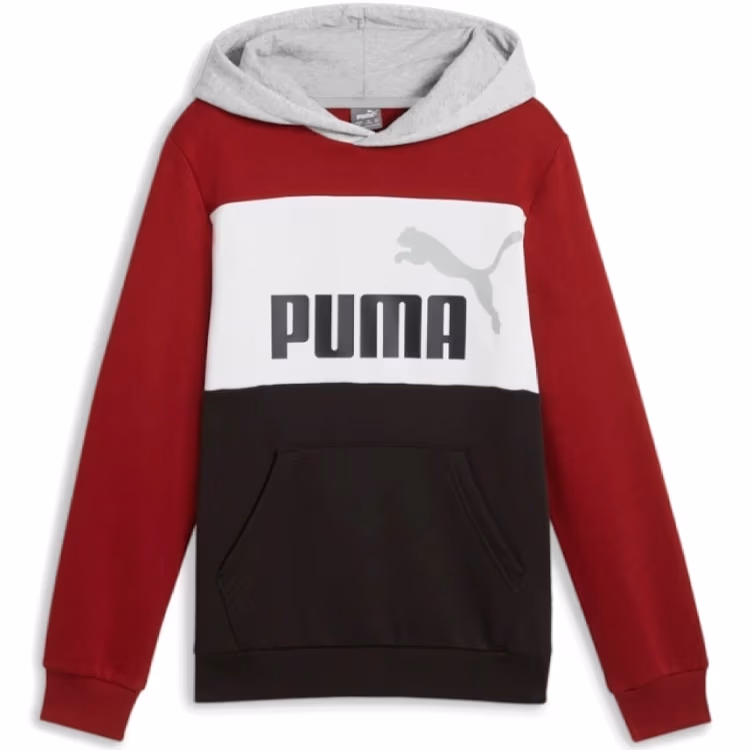 Толстовка Puma ESS BLOCK Hoodie FL B