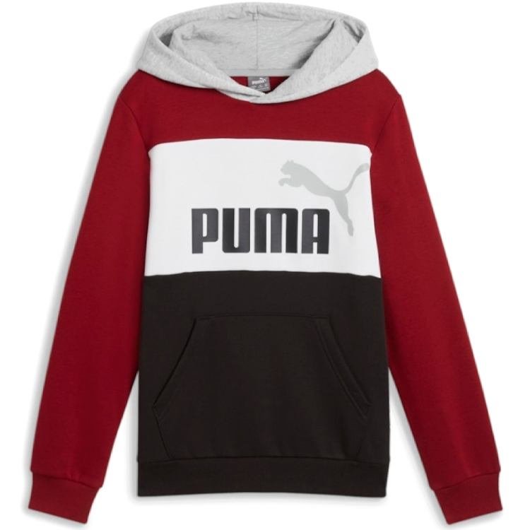 Толстовка Puma ESS BLOCK Hoodie FL B photo Толстовка Puma ESS BLOCK Hoodie FL B photo