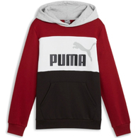 Толстовка Puma ESS BLOCK Hoodie FL B thumbnav