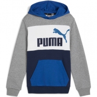Толстовка Puma ESS BLOCK Hoodie TR B thumbnav