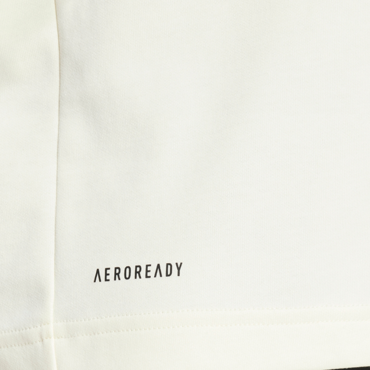 Футболка мужская Adidas NG U AERORDY T XS Бежевый photo 4