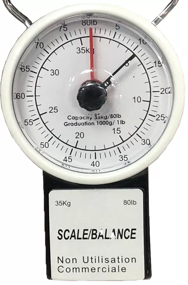 Багажные весы Scale NScale-14, Белый