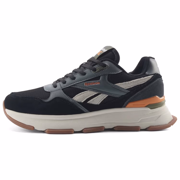 Incaltaminte Sport Reebok BROOK MILT 
