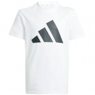 Набор футболка + шорты Adidas J BL T-SET thumbnav