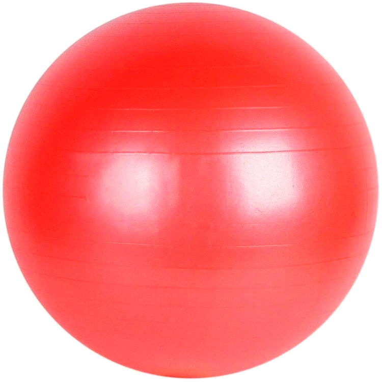 Мяч для фитнеса TM Fitball S12415 photo 1