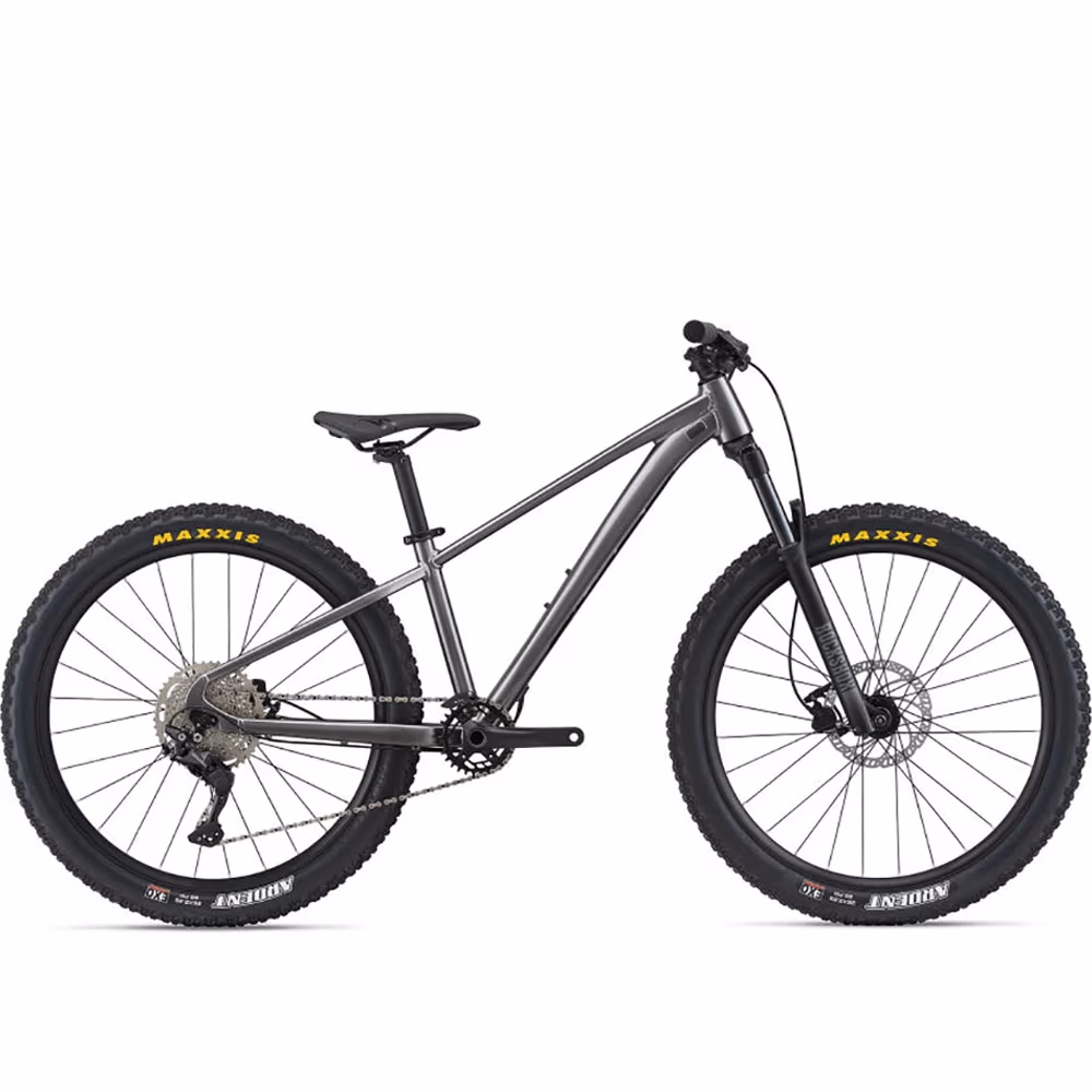 Bicicleta pentru copii Giant STP