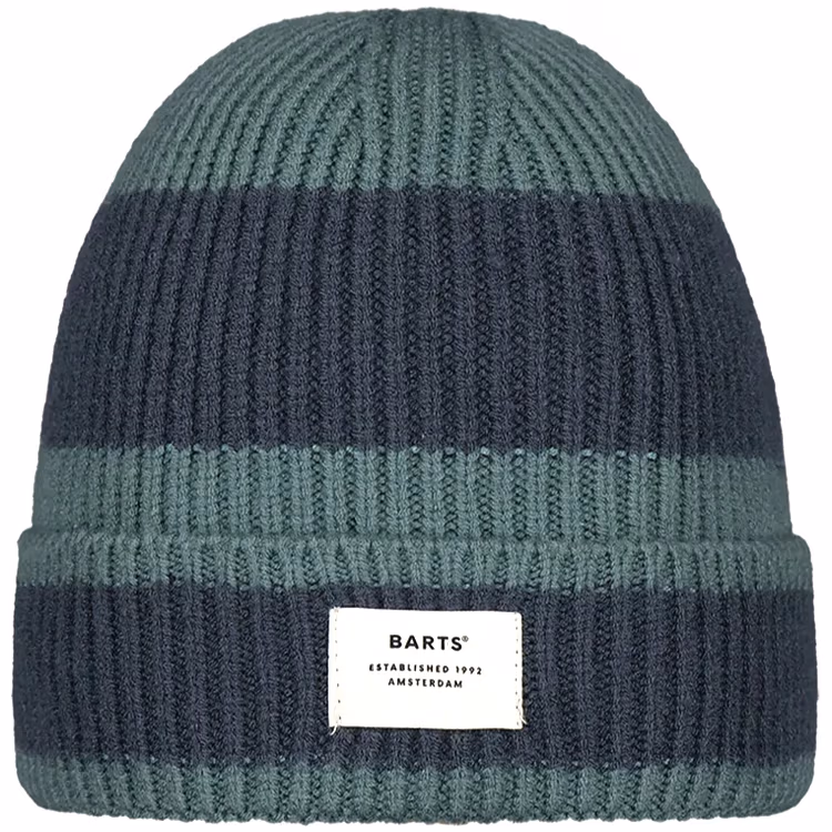 Шапка Barts Hucsley Beanie